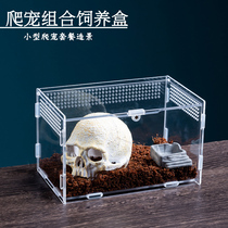 Reptile acrylic assembled small feeding box spider rain scorpion beetle landscaping box high penetration viewing box