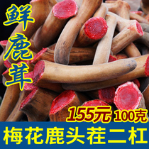 Fresh deer antler pruning plum blossom deer antler male with blood sliced wine Chinese herbal medicine authentic first stubble two bars