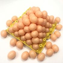 Childrens simulation fake eggs duck eggs eggs duck eggs DIY painted eggs kindergarten teaching aids
