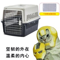 Pet Airbox Cat Cage Dog Big and Small Dog Car Air Container Portable Travel Cat Consignment Box