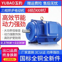 Three-phase asynchronous motor 6-Pole 1 5 2 2 3 5 5 7 5KW exchange 380V frequency control of motor speed motor
