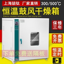 101-1 Industrial blast drying oven constant temperature oven electric dryer laboratory high temperature aging oven test