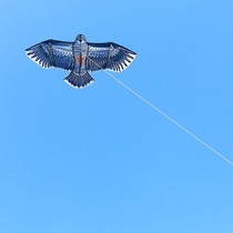 Weifang eagle kite front strut eagle Prairie Eagle Golden Eagle Nobita eagle Eagle Steel eagle Childrens eagle kite line wheel