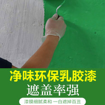 Green wall paint cement wall paint environmental paint interior wall paint waterproof exterior wall latex paint
