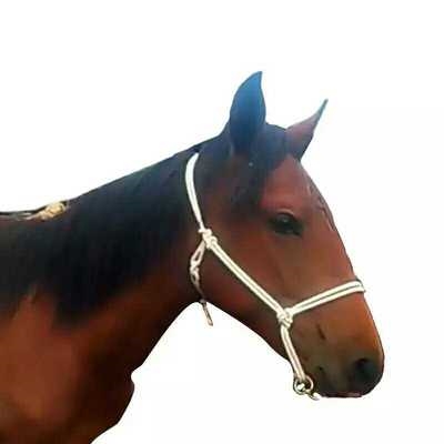 Cage set horse donkey mule cage set strong and durable simple cage head ordinary hand faucet plus w horse rope White 3