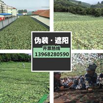 Web-coated field 300d outdoor grass green with sun-shading pseudo-clothing network custom roof pseudo-clothing cloth cs color