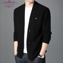 Chronicle Middle Men New Wool Knitted Sweater Man Spring and Autumn Light Luxury Large Casual Wear Mens Clothes