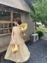 SourceWithU is not known for flowers  Short-sleeved French girly double-layer skirt simple gentle style dress