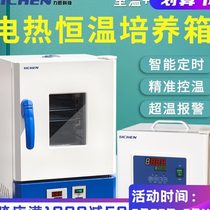 Lichen electric constant temperature incubator portable laboratory constant humidity seed germination germinating microbial biochemical cell box