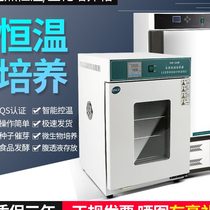 Electrothermal constant temperature and humidity incubator microbial peritoneal dialysis solution germinating mold light biochemical incubator Laboratory