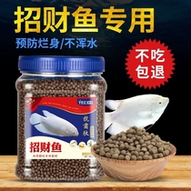 Lucky fish food Feed Lucky special fish food Map fish Warship fish Ornamental fish Disease-resistant and rot-proof body fish food