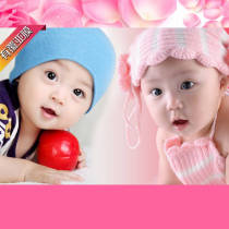 Dragon Bird New Year picture Doll Sticker baby picture wall sticker baby photo poster wedding child portrait twin
