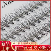 Korean Scarecrow 0 1 thick 10 a cluster of single plant planting eyelashes hair grafts their own eyelashes false eyelashes