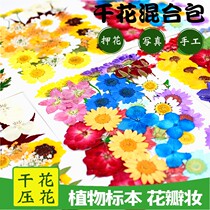 Songmin dried flower embossing combination bag material bag real leaves flower table lamp bookmark candle petal makeup dry flower makeup