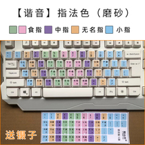 Upper and lower case pinyin homophonic English desktop keyboard sticker notebook alphabet button beginner fingering practice