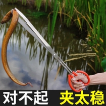 Clay-Trapping Loach Yellow Eel Finless Eel Clips Stainless Steel Pliers Anti-Sea God catch crab lobster special tools
