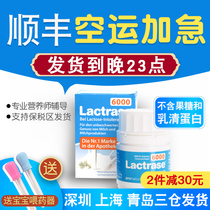 lactrase German acid lactase infant Cui Yutao recommended adult lactose intolerance test 60 capsules