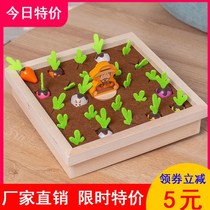 Pulling radish toys 1 A 2 and a half year old baby Monteshi early education multi-purpose boys and girls Baby building blocks teaching aids