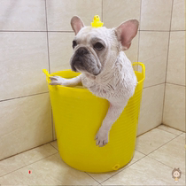 Dog bath tub cat tub pet spa bath Teddy Dafa dog small dog with shower bath bucket