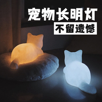 Pet sacrifice cat Changming lamp head seven nostalgia memorial urn casket paper money burning paper dog death Memorial supplies