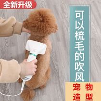 Electric hair dryer Household pet hair comb with moderate soft drying hot and cold brush fixed dog cat straight hair