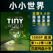 Small world record sheet 1 2 season full 12 episodes HD video Mandarin pronunciation Kids students see Microscience