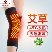  Summer knee pads to keep warm old and cold legs wormwood self-heating men and women knee joint air conditioning room cold-proof thin models for the elderly