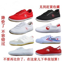 Jingwu Taiji shoes mens martial arts shoes mens beef tendons white middle-aged and elderly teacher Wulin too shoes Black