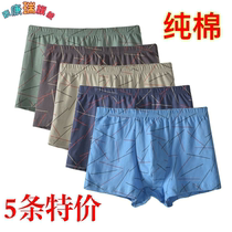 Pure Cotton 5 Bars 3 Men Flat Corner Underpants Middle Waist Loose Stripe Young Middle-aged Big Code Full Cotton Bottom Pants Four Corner Pants