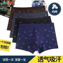 Pure Cotton Mens Underwear Mens Flat Corner Pants Mens Pants Head Breathable Guys Four-corner Bottom Pants Mid Green Old Male Underwear Shorts