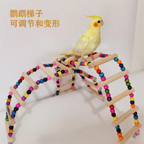 Parrot toy Tiger skin Xuanfeng Peony bird swing training gnawing ring Climbing ladder Stair child Bird cage supplies