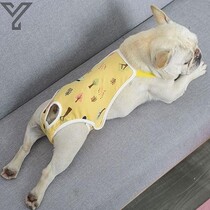 Dog physiological pants summer male French Douma special Corgi sanitary napkin female period safe menstruation pet medium-sized dog