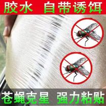 Fly repellent sticky board fly incense paste strong sticky fly post large sticky fly paper fly trap sticker Catch fly artifact stick household