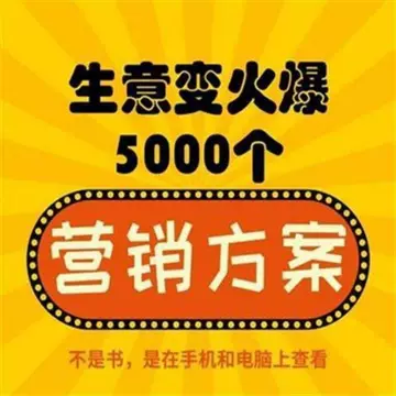 新思维营销案例 策划方案商业模版 活动促销 小本创业思路