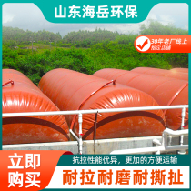  New rural household farms Environmental protection red mud New digester tank Full set of equipment fermenter software gas storage bag