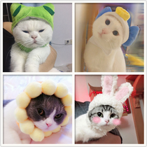 Cat headgear pet hat sunflower rabbit ear lion rabbit headdress cat with cute kitten anti-lick anti-bite