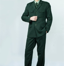 New spring and autumn suit formal pine branch color jacket pants winter retro Zhongshan style winter regular suit suit