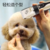 Pet Shaving Two-in-One Pet Shop Specialized Large Dog Electric Thread Electric Silent 2021