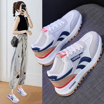 Li Ning student 2021 female autumn couple Old Father New ins leisure sports shoes Agan shoes Net Red
