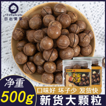  New cream Macadamia nuts Net weight 500g Canned nuts Original dried fruits Pregnant women snacks fried large particles