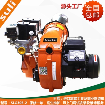Factory Direct 300000 kcal liquefied gas burning natural gas burner spray boiler oven drying
