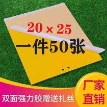 Fly paper hanging sticky rope sticky fly board Household mosquito hotel double-sided orchard Strong mosquito commercial farm