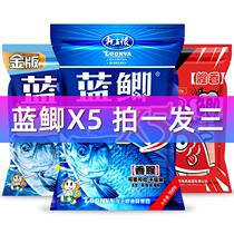 Dragon King Hate to kill blue crucian carp autumn and winter wild fishing bait