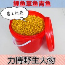 Soft secret old altar lees fermented corn and wheat grains Wild fishing reservoir carp grass carp herring nest bait