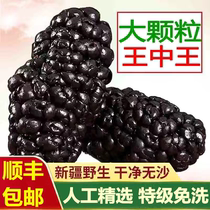 (SF)Xinjiang black mulberry dried fruit canned wild premium natural sand-free leave-in ready-to-eat wine