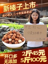 2021 New Northeast specialty nuts Kaiyuan wild thin skin hazelnut Tieling 500g bag fried