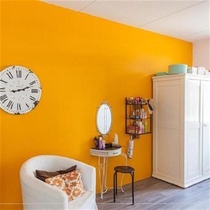 Indoor wall paint latex paint what color wall paint white paint home old house renovation repair interior wall