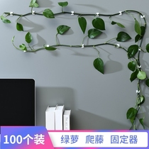 Green basket climbing artifact no trace Wall rose climbing vine plant climbing vine adhesive hook does not hurt Wall Flower buckle clip