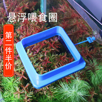  Feeding circle feeding fish Feeding fish tank Large buoyancy floating feeder Fish tank goldfish small feeding turtle
