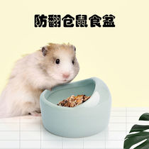 Pet Ceramic Food Basin Candy Color Styling anti-cappelin Basin Triangular Eater Basin Hamster supplies can be put into hamster